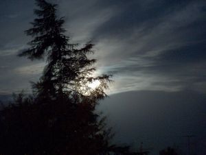 We can learn how to overcome our fears, even in our dreams