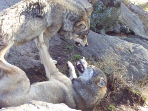 Are you ready to confront what is threatening?