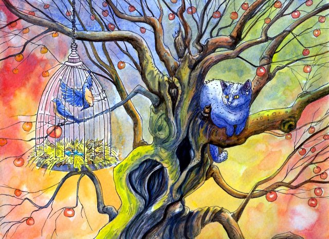 What is the difference between protection and freedom?