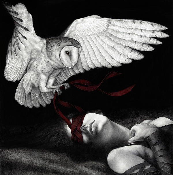 "On Silent Wings" by Pat Erickson