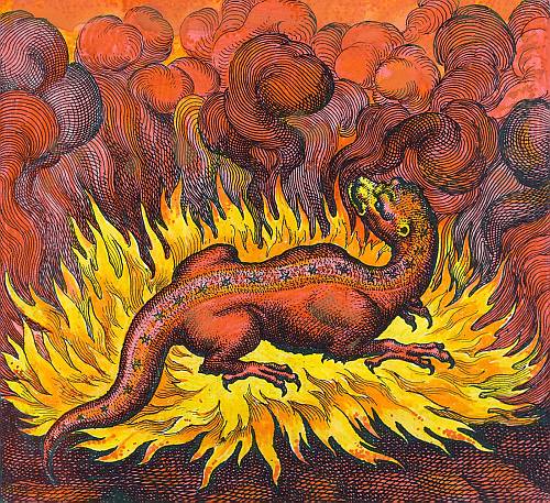 The salamander was believed to live in fire