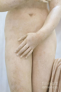 detail-of-the-statue-of-the-capitoline-venus-stefano-baldini